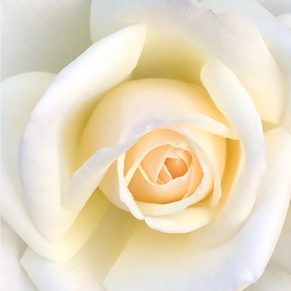 🌞🌺✨……….. - Picture 14 of 16